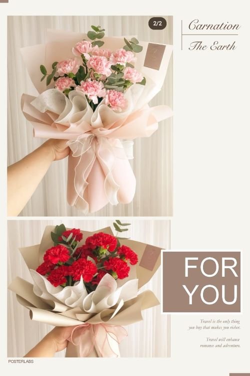 (M1-CARNATION OR ROSE PACKAGE) (6-RM90) (7-RM100) (8-RM110), (9-RM120) (10-RM130) (11-RM140) (12-RM150) (15-RM180)