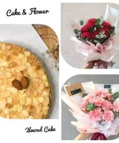 (M2) FRESH CARNATION & CAKE