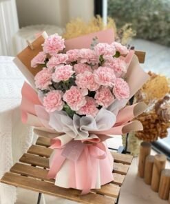 (M4) FRESH CARNATION