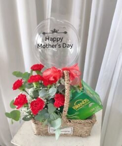 (M15) FRESH CARNATION & BRANDS CHICKEN ESSENCE