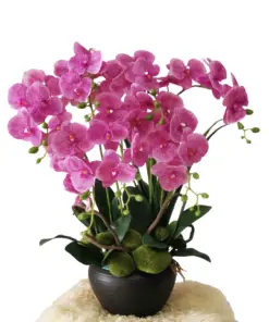 Artificial Congratulations Flowers